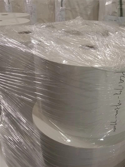 PP/Nylon Paper For Tea Tag